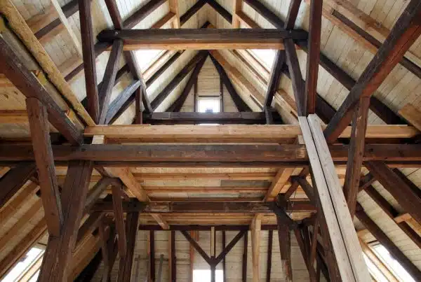 Holzschutztechnische Untersuchung eines Dachraums